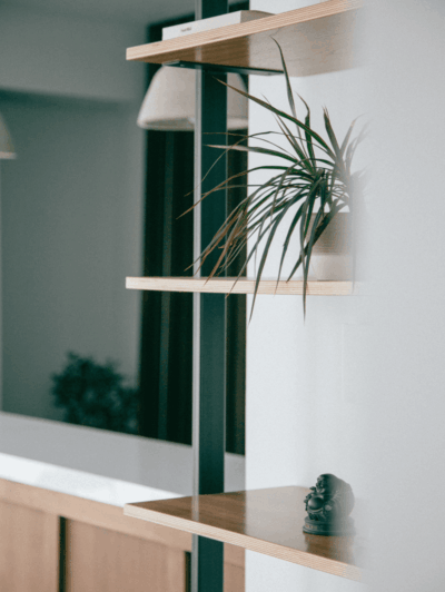 Best Houseplants